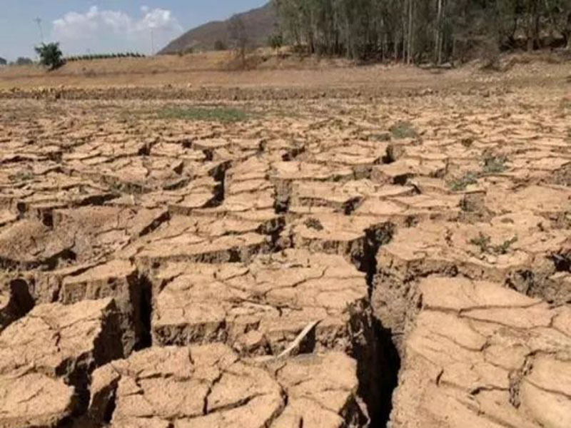 神健糧機(jī)——多地幾個(gè)月未降雨，會(huì)出現(xiàn)干旱嗎？